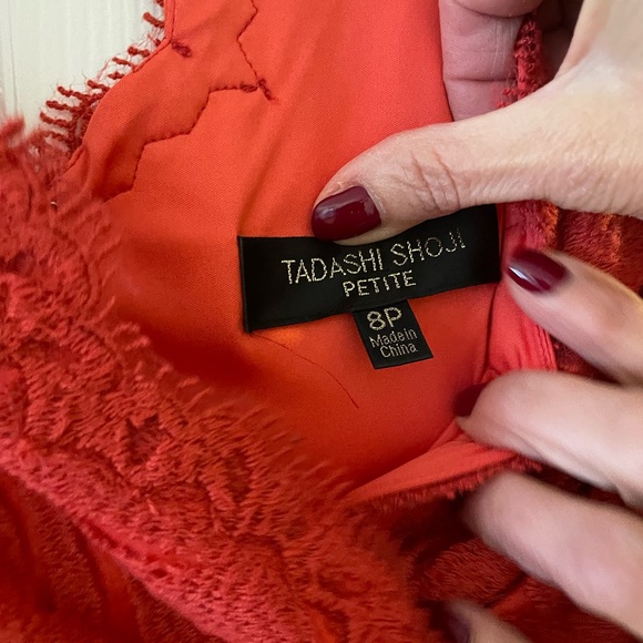 Tadashi Shoji Dress - worn once  lace overall with satin slip - Picture 3 of 3